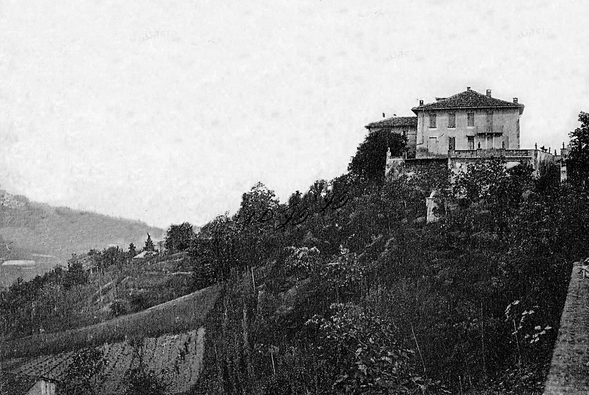 Castana